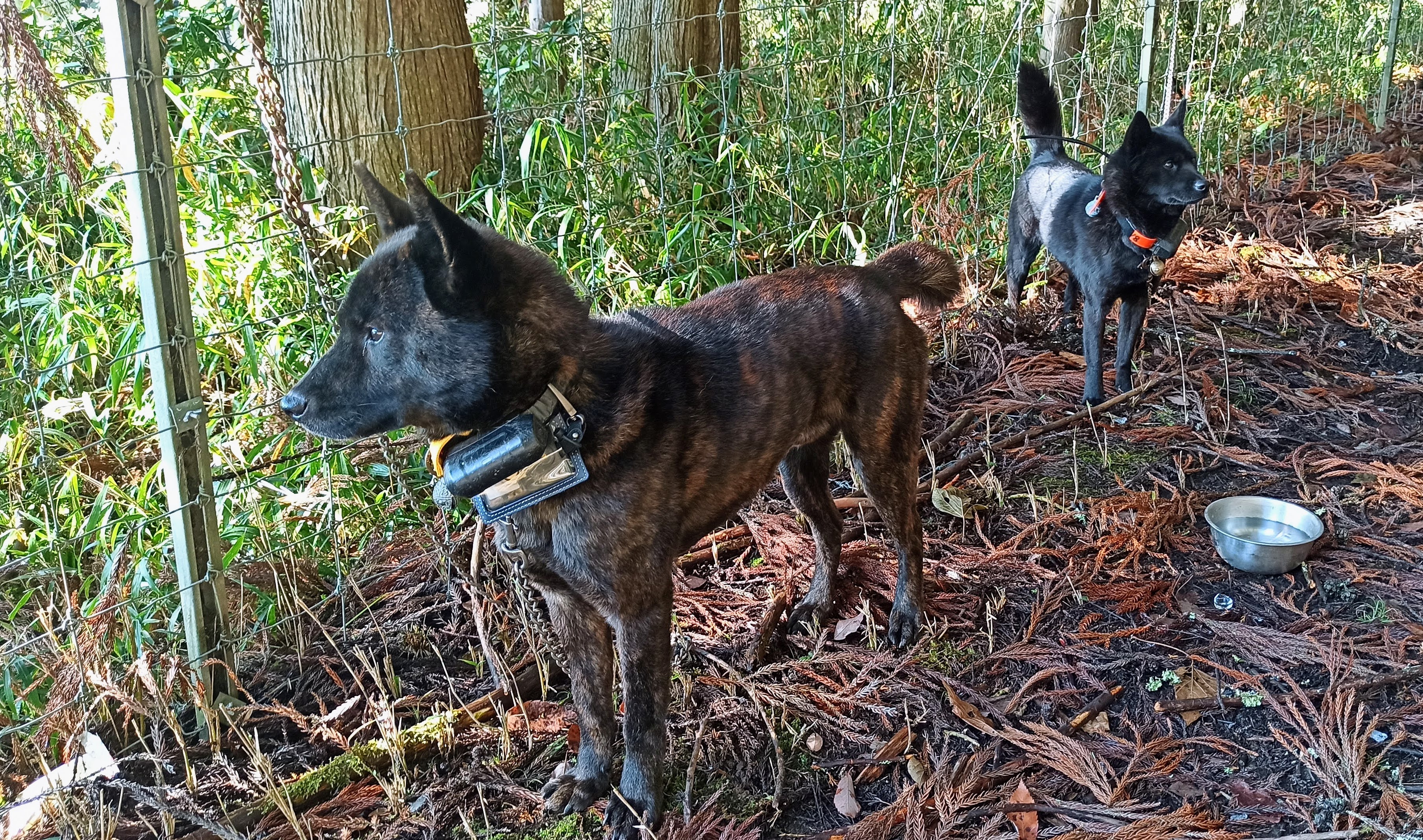 猟チームの通信機器