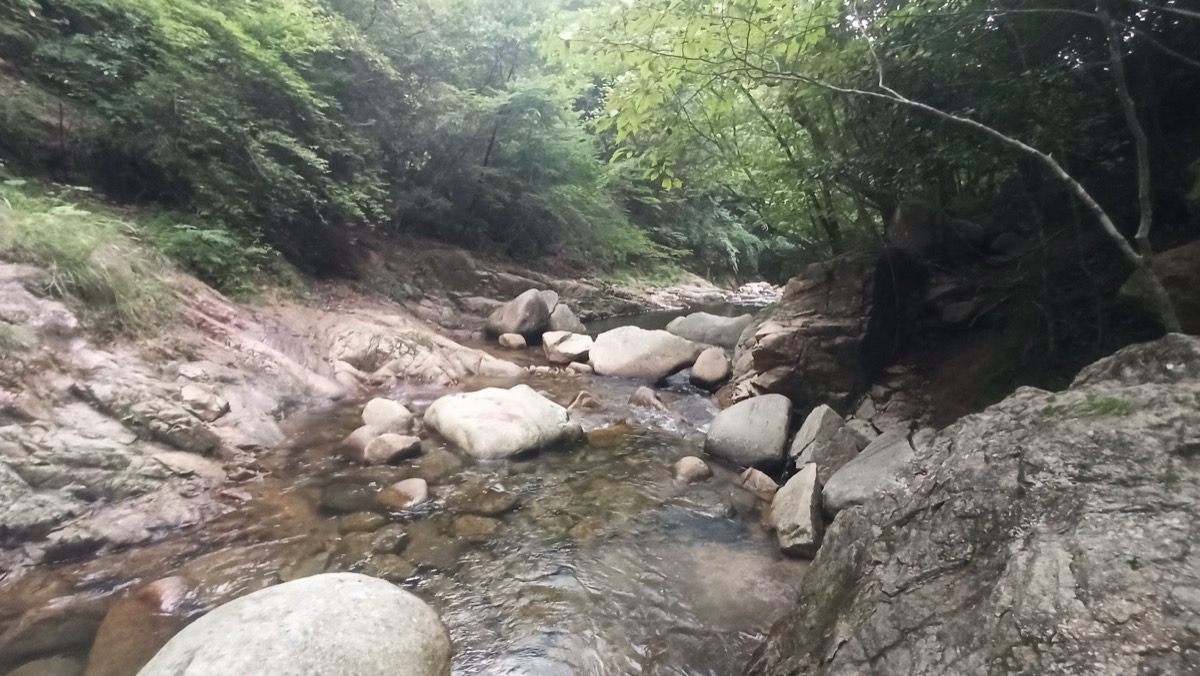 森に囲まれた山の渓流